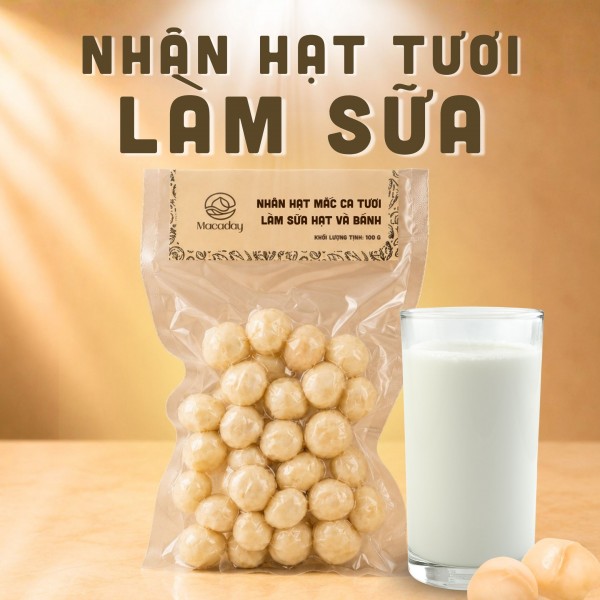 Nhân hạt Mắc ca tươi làm sữa